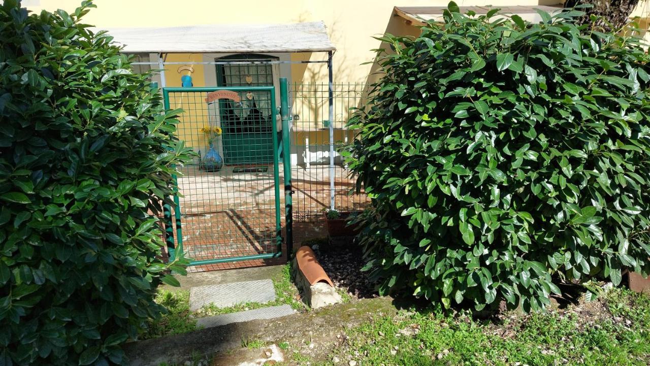 La Piccola Oasi Con Parcheggio Apartment Florenţa Exterior foto